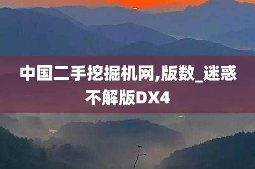 中国二手挖掘机网,版数_迷惑不解版DX4