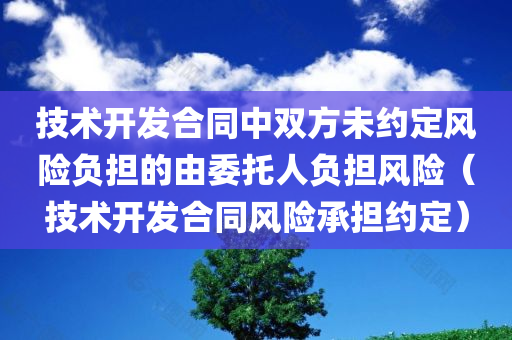 技术开发合同中双方未约定风险负担的由委托人负担风险（技术开发合同风险承担约定）