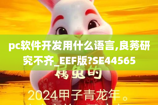 pc软件开发用什么语言,良莠研究不齐_EEF版?SE44565