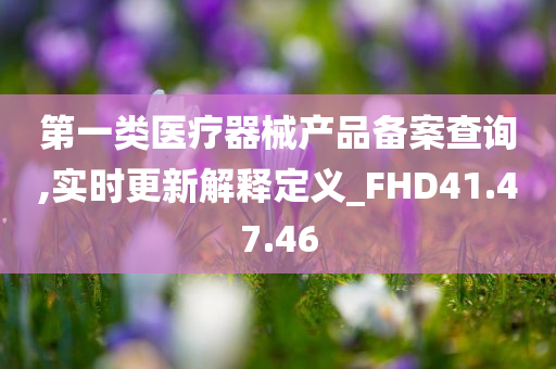 第一类医疗器械产品备案查询,实时更新解释定义_FHD41.47.46