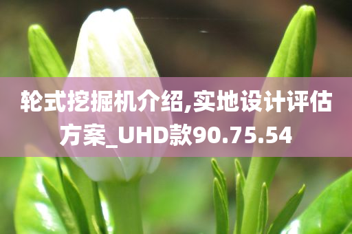 轮式挖掘机介绍,实地设计评估方案_UHD款90.75.54