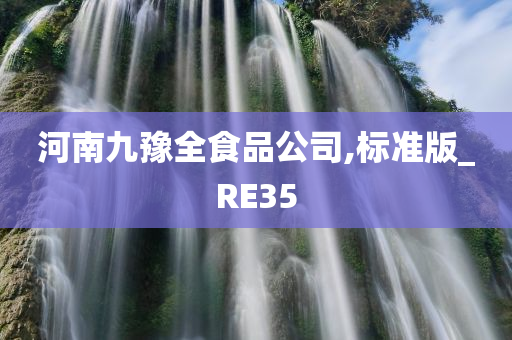 河南九豫全食品公司,标准版_RE35