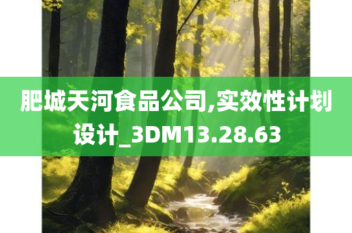 肥城天河食品公司,实效性计划设计_3DM13.28.63