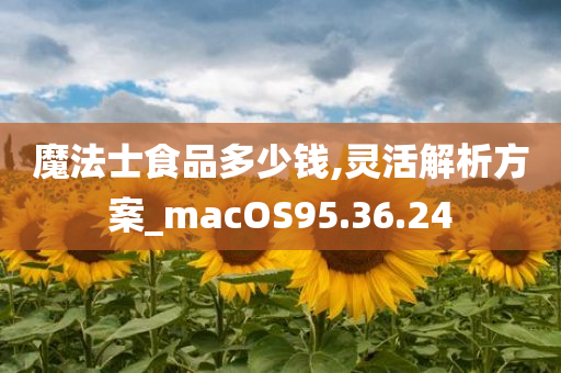 魔法士食品多少钱,灵活解析方案_macOS95.36.24