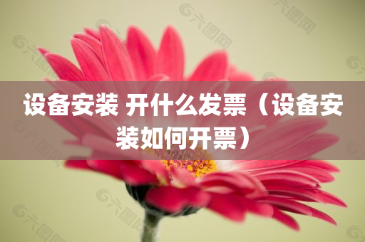 设备安装 开什么发票（设备安装如何开票）