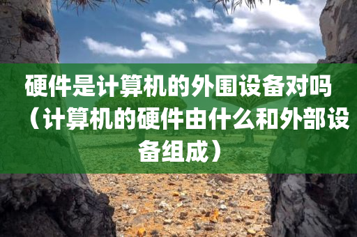 硬件是计算机的外围设备对吗（计算机的硬件由什么和外部设备组成）