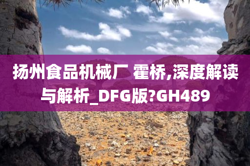 扬州食品机械厂 霍桥,深度解读与解析_DFG版?GH489