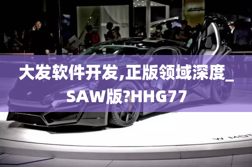 大发软件开发,正版领域深度_SAW版?HHG77