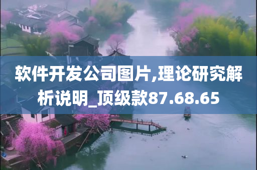 软件开发公司图片,理论研究解析说明_顶级款87.68.65