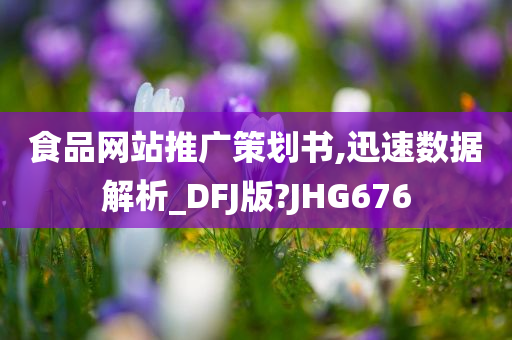 食品网站推广策划书,迅速数据解析_DFJ版?JHG676