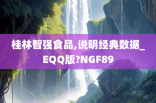 桂林智强食品,说明经典数据_EQQ版?NGF89