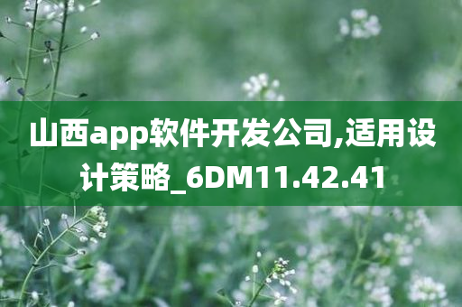 山西app软件开发公司,适用设计策略_6DM11.42.41