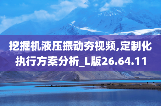 挖掘机液压振动夯视频,定制化执行方案分析_L版26.64.11