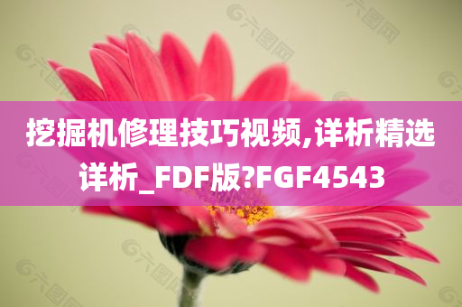 挖掘机修理技巧视频,详析精选详析_FDF版?FGF4543