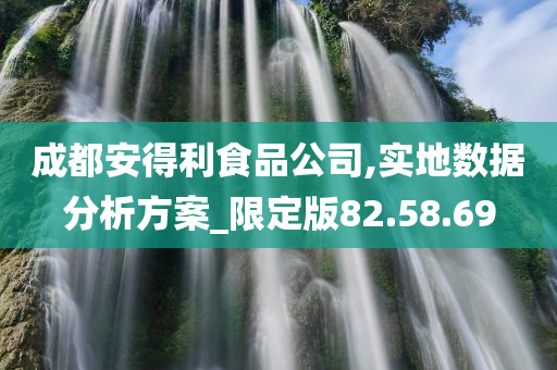 成都安得利食品公司,实地数据分析方案_限定版82.58.69