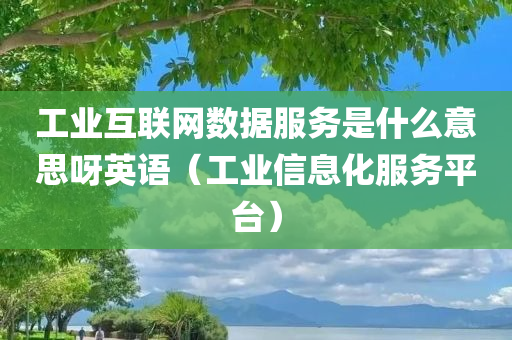 工业互联网数据服务是什么意思呀英语（工业信息化服务平台）