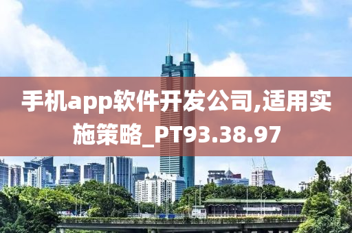 手机app软件开发公司,适用实施策略_PT93.38.97