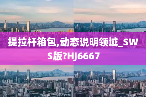 提拉杆箱包,动态说明领域_SWS版?HJ6667