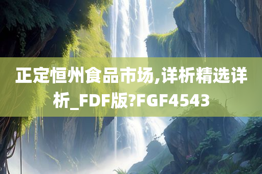 正定恒州食品市场,详析精选详析_FDF版?FGF4543