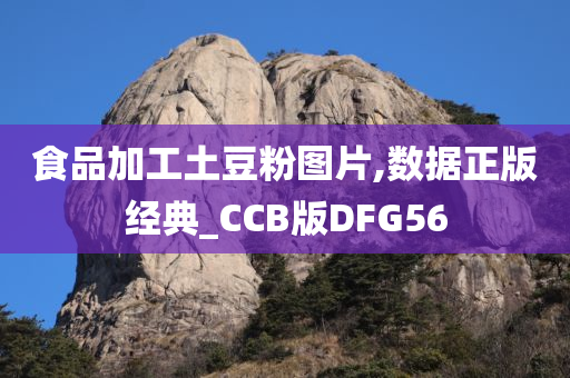 食品加工土豆粉图片,数据正版经典_CCB版DFG56