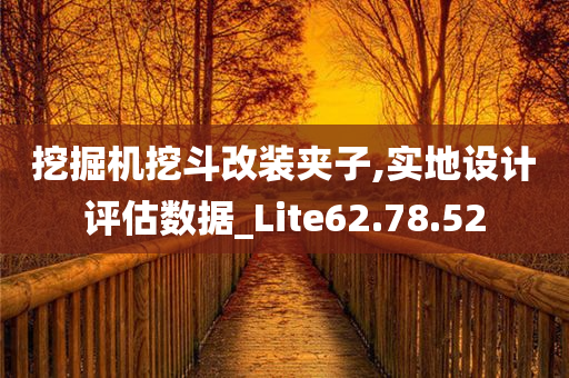 挖掘机挖斗改装夹子,实地设计评估数据_Lite62.78.52