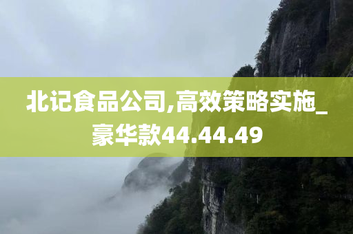 北记食品公司,高效策略实施_豪华款44.44.49