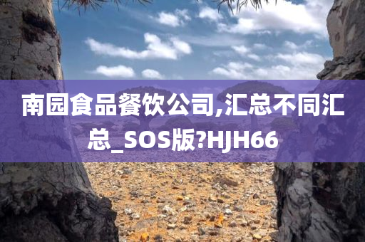 南园食品餐饮公司,汇总不同汇总_SOS版?HJH66