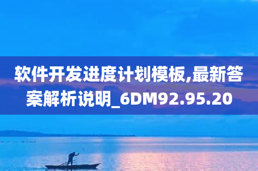 软件开发进度计划模板,最新答案解析说明_6DM92.95.20