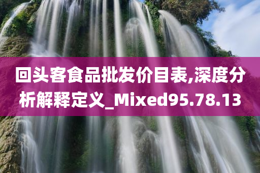 回头客食品批发价目表,深度分析解释定义_Mixed95.78.13