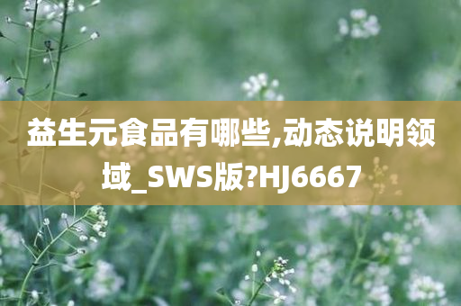 益生元食品有哪些,动态说明领域_SWS版?HJ6667