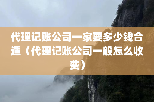 代理记账公司一家要多少钱合适（代理记账公司一般怎么收费）