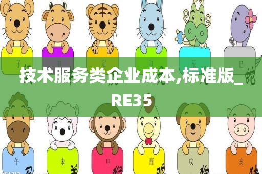 技术服务类企业成本,标准版_RE35