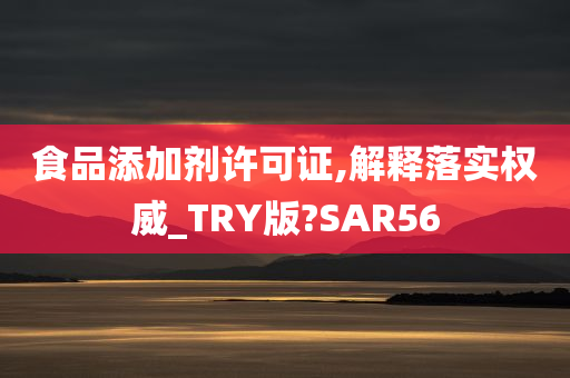 食品添加剂许可证,解释落实权威_TRY版?SAR56