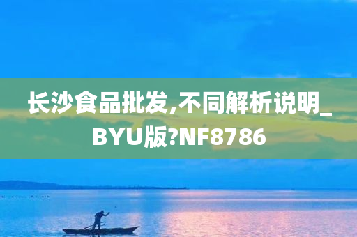 长沙食品批发,不同解析说明_BYU版?NF8786