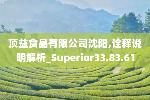 顶益食品有限公司沈阳,诠释说明解析_Superior33.83.61