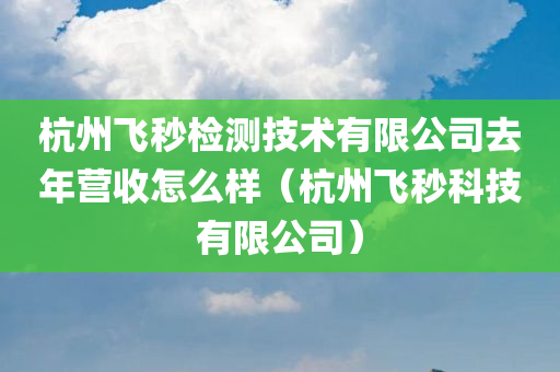 杭州飞秒检测技术有限公司去年营收怎么样（杭州飞秒科技有限公司）