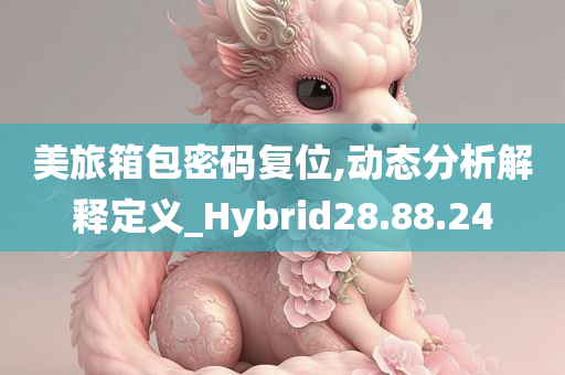 美旅箱包密码复位,动态分析解释定义_Hybrid28.88.24