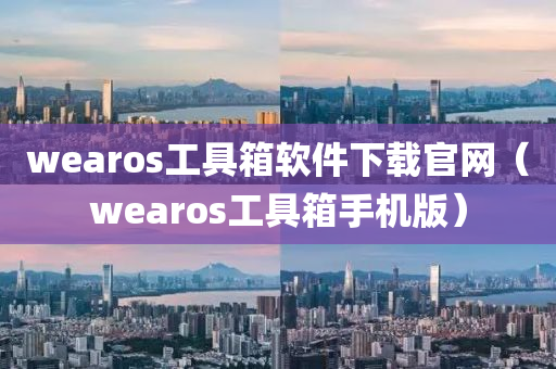 wearos工具箱软件下载官网（wearos工具箱手机版）