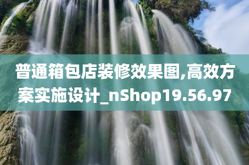 普通箱包店装修效果图,高效方案实施设计_nShop19.56.97