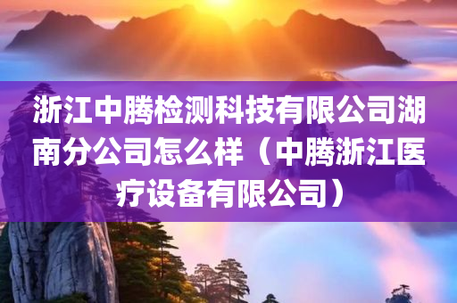 浙江中腾检测科技有限公司湖南分公司怎么样（中腾浙江医疗设备有限公司）