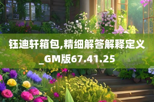 钰迪轩箱包,精细解答解释定义_GM版67.41.25