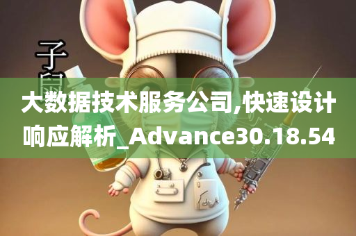 大数据技术服务公司,快速设计响应解析_Advance30.18.54