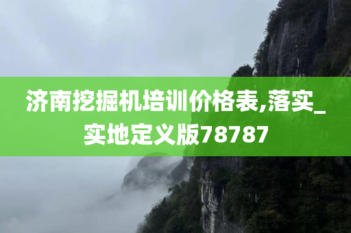 济南挖掘机培训价格表,落实_实地定义版78787