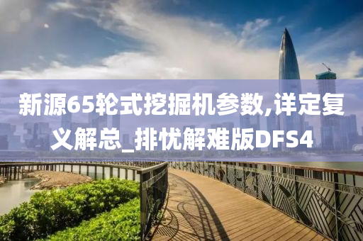 新源65轮式挖掘机参数,详定复义解总_排忧解难版DFS4