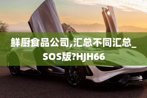 鲜厨食品公司,汇总不同汇总_SOS版?HJH66