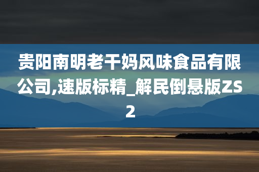 贵阳南明老干妈风味食品有限公司,速版标精_解民倒悬版ZS2