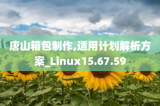 唐山箱包制作,适用计划解析方案_Linux15.67.59