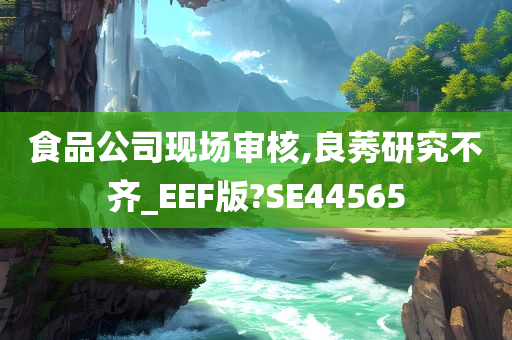 食品公司现场审核,良莠研究不齐_EEF版?SE44565