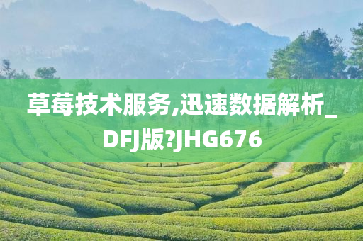 草莓技术服务,迅速数据解析_DFJ版?JHG676