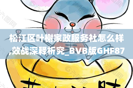 松江区叶榭家政服务社怎么样,效战深释析究_BVB版GHF87